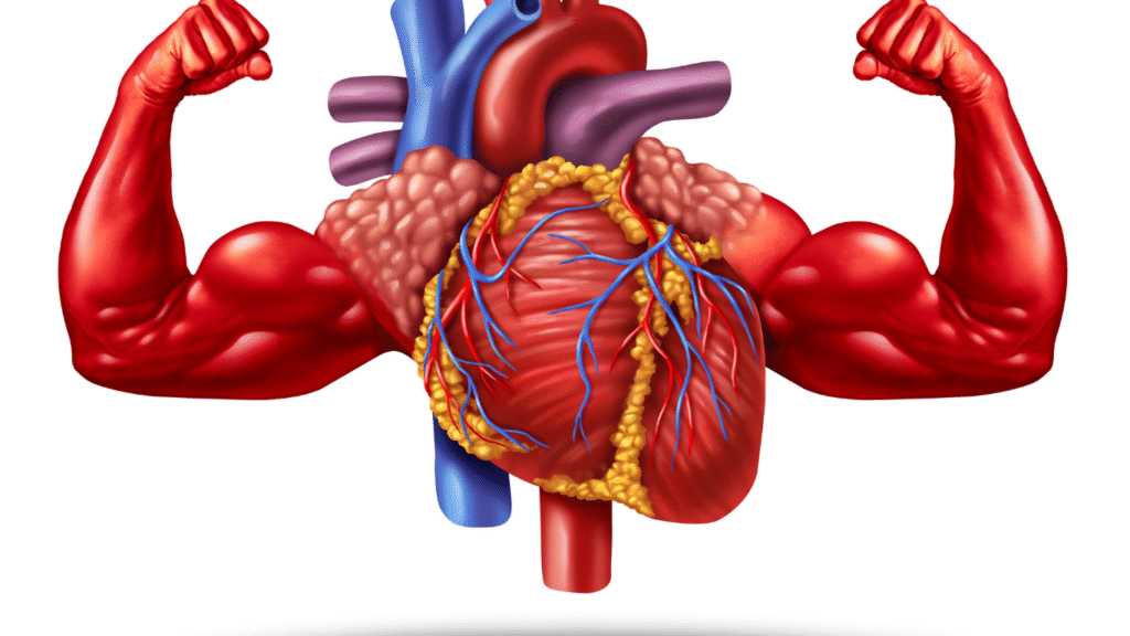 Best Ayurvedic capsule for heart care